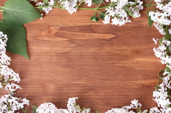 Het frame van de takken van een Lila op houten achtergrond — Stockfoto