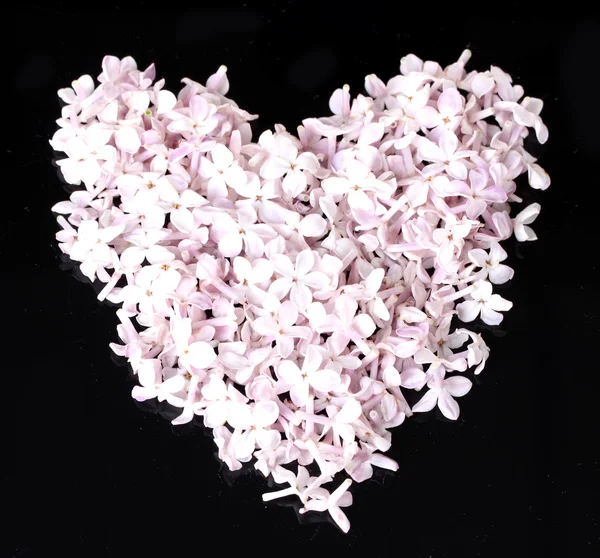 Lila kronblad i hjärta form isolerade på svart — Stockfoto