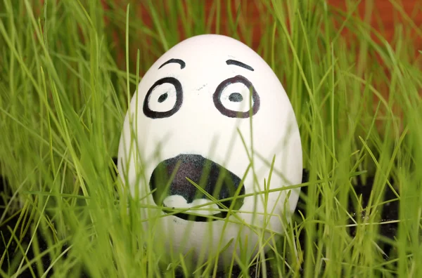Huevo blanco con cara divertida en hierba verde —  Fotos de Stock