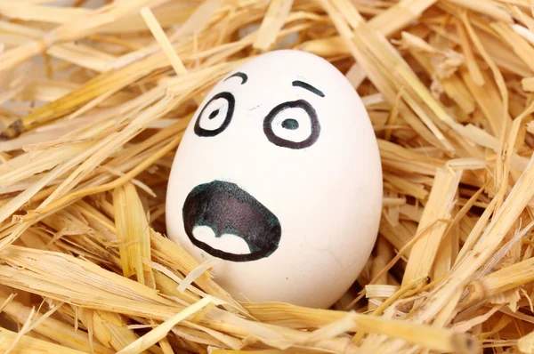 Λευκά αβγά με αστείο πρόσωπο στο άχυρο — Φωτογραφία Αρχείου