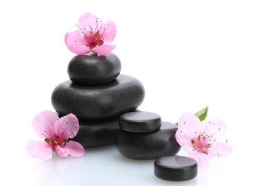 Spa taşlar ve üzerinde beyaz izole pembe sakura çiçekler