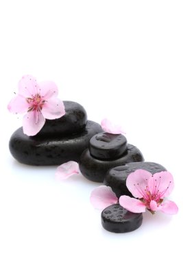 Spa taş düşer ve üzerinde beyaz izole pembe sakura çiçek