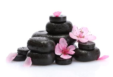 Spa taş düşer ve üzerinde beyaz izole pembe sakura çiçek