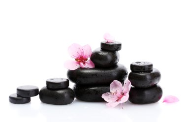 Spa taş düşer ve üzerinde beyaz izole pembe sakura çiçek