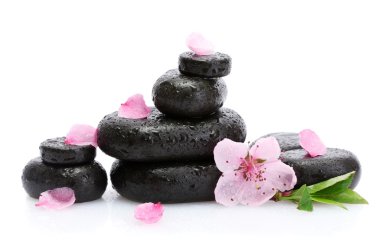 Spa taş düşer ve üzerinde beyaz izole pembe sakura çiçek