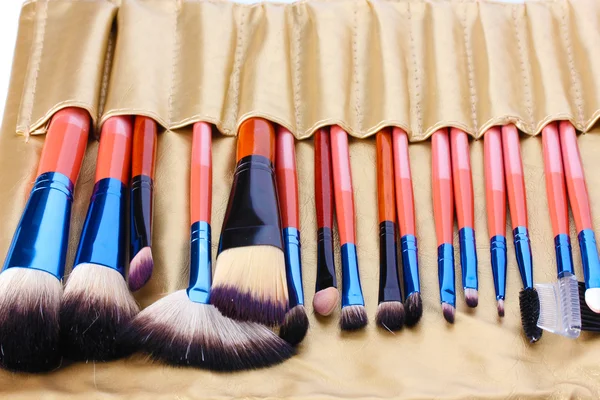 Set med make-up borstar i gyllene läderfodral närbild — Stockfoto
