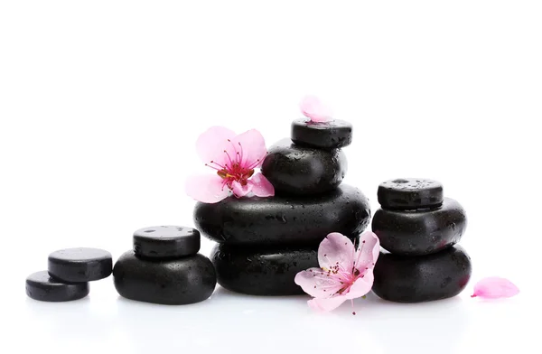 Wellness-Steine mit Tropfen und rosa Sakura-Blüten isoliert auf weiß — Stockfoto