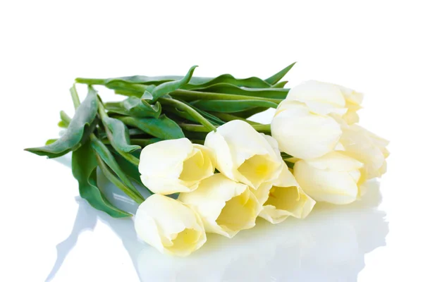Vackra tulpaner isolerad på vit — Stockfoto