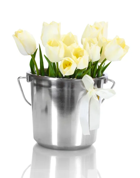 Piękne tulipany w wiaderko na białym tle — Zdjęcie stockowe