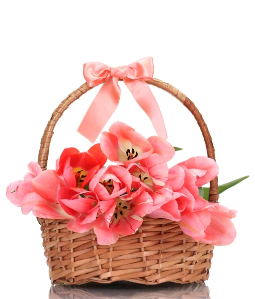 Mooie roze tulpen in mand geïsoleerd op wit — Stockfoto