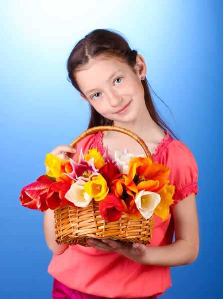 郁金香在蓝色背景上的篮子里的漂亮小女孩的肖像 — 图库照片