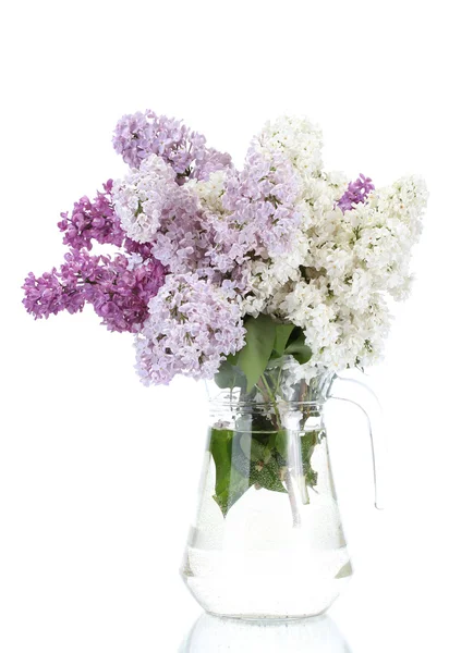 Beautiful lilac flowers in glass jar isolated on white — Stock Photo, Image