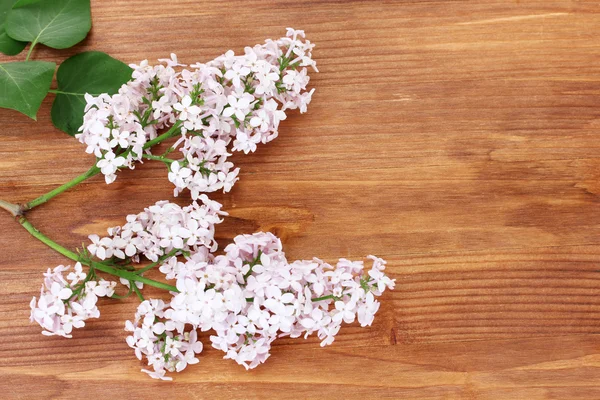 Branch of pink lilac on wooden background close-up — Stock Photo, Image