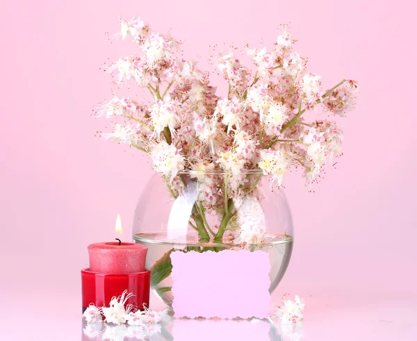 Složení váza kaštany květin, svíčky a poznámku o barevné pozadí — Stock fotografie