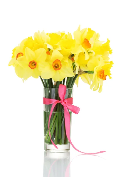 Beautiful yellow daffodils in transparent vase with bow isolated on white — Stock Photo, Image
