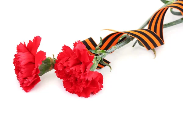 Carnations and St. George ribbon isolated on white — Stock Photo, Image