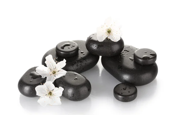 Schwarze Wellness-Steine mit Blumen und Blütenblättern isoliert auf weißen Nahaufnahmen — Stockfoto