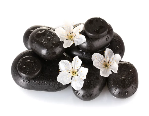 Piedras termales negras con flores y pétalos aislados en primer plano blanco —  Fotos de Stock