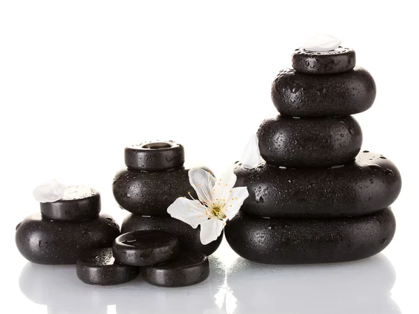 Piedras termales negras con flores y pétalos aislados en primer plano blanco —  Fotos de Stock