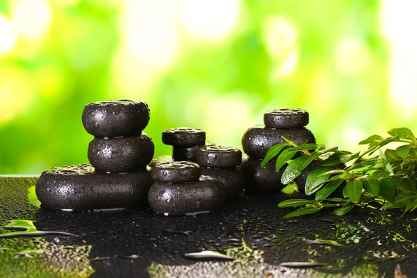 Composition de pierres de spa et de verdure sur fond vert vif — Photo