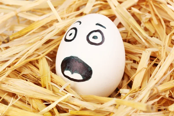 Λευκά αβγά με αστείο πρόσωπο στο άχυρο — Φωτογραφία Αρχείου