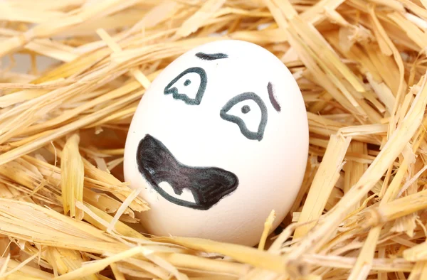 White egg with funny face in straw — Stock Photo, Image