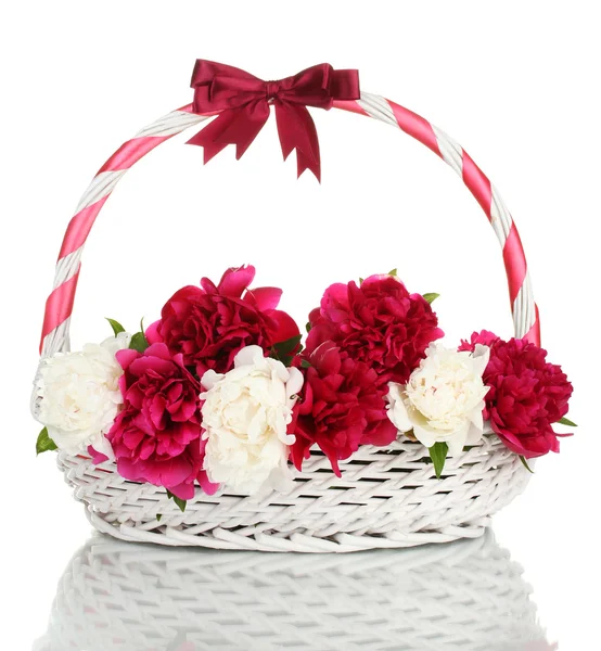 Belas peônias rosa e branco em cesta com arco isolado em branco — Fotografia de Stock