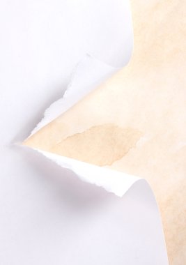 Torn paper with brown background clipart