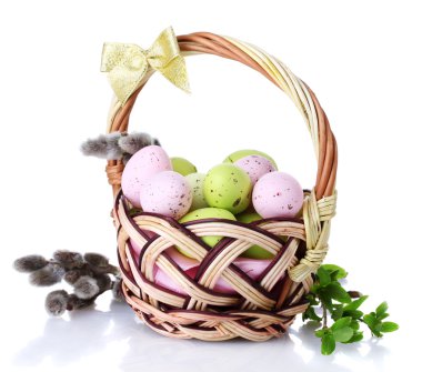 Basket with Easter eggs and pussy-willow twigs isolated on white