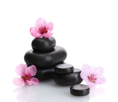 Spa taşlar ve üzerinde beyaz izole pembe sakura çiçekler