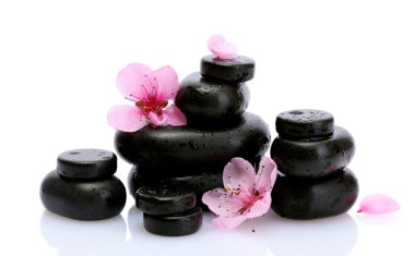 Spa taş düşer ve üzerinde beyaz izole pembe sakura çiçek