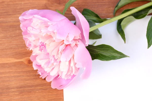 Pink peony with card on wooden background — Stock Photo, Image