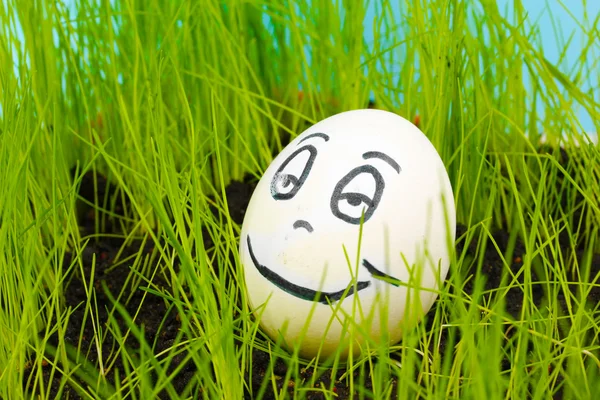Ovo branco com rosto engraçado na grama verde — Fotografia de Stock