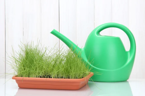 植木鉢、木製白地に水まき缶で緑の芝生 — ストック写真