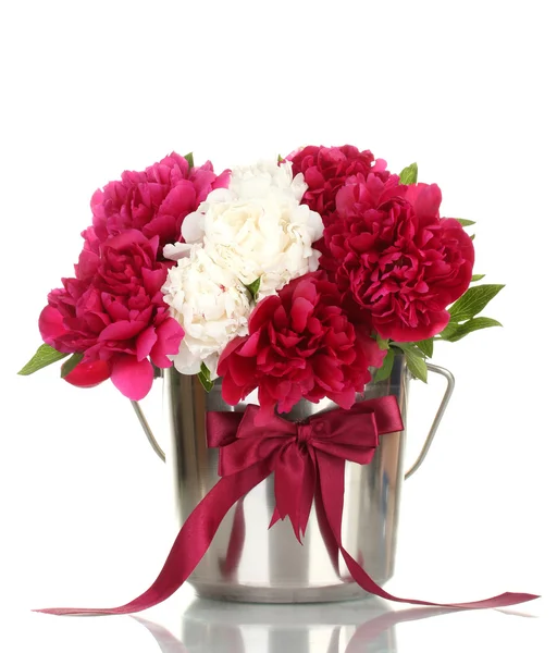 Beautiful pink and white peonies in bucket with bow isolated on white — Stock Photo, Image