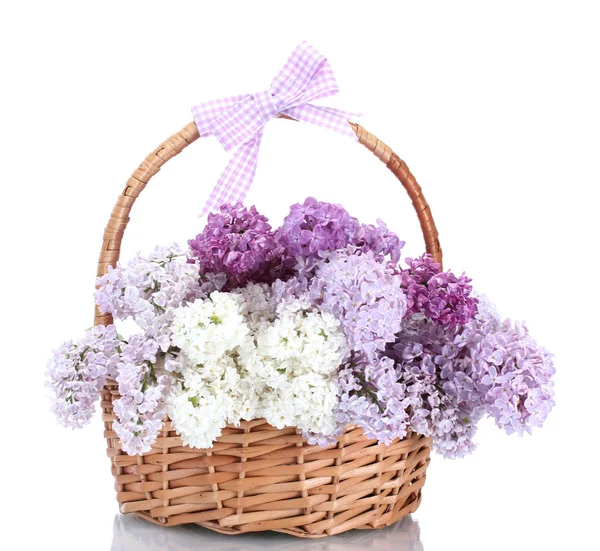Hermosas flores lila en cesta aislada en blanco —  Fotos de Stock
