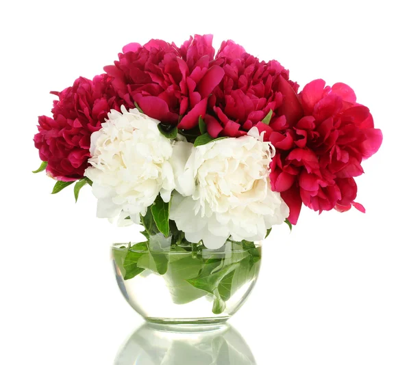 stock image Beautiful pink and white peonies in glass vase isolated on white