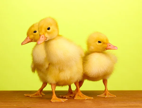 Duckling on wooden table on green background — Stock Photo, Image