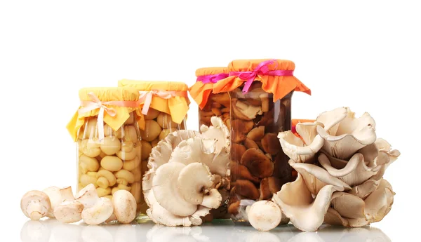 Smaczne Marynowane grzyby w słoikach, surowe pieczarki oraz boczniaki na białym tle — Zdjęcie stockowe