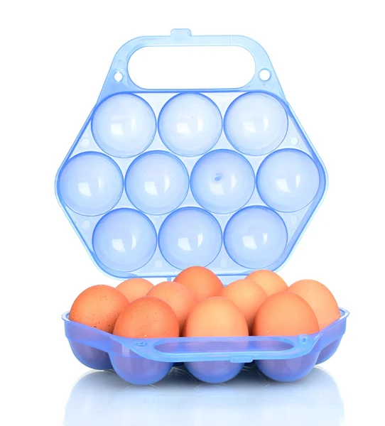 Яйца в синей пластиковой коробке изолированы на белом — стоковое фото