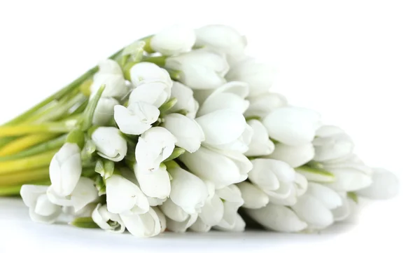 Beau bouquet de gouttes de neige isolé sur blanc — Photo