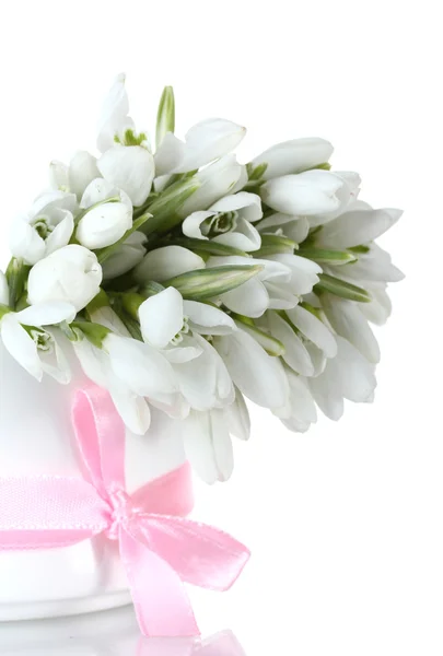 Buket indah snowdrops dalam vas dengan busur terisolasi pada putih — Stok Foto
