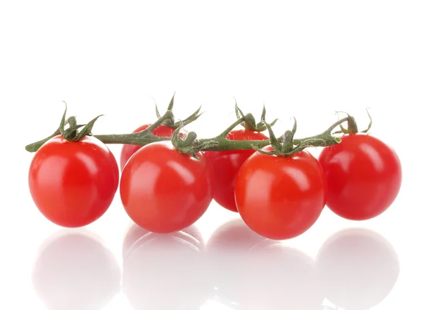 Beautiful cherry tomatoes on a branch isolated on white — Stock Photo, Image