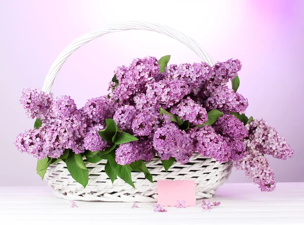 Beautiful lilac flowers in basket on purple background — Stock Photo, Image