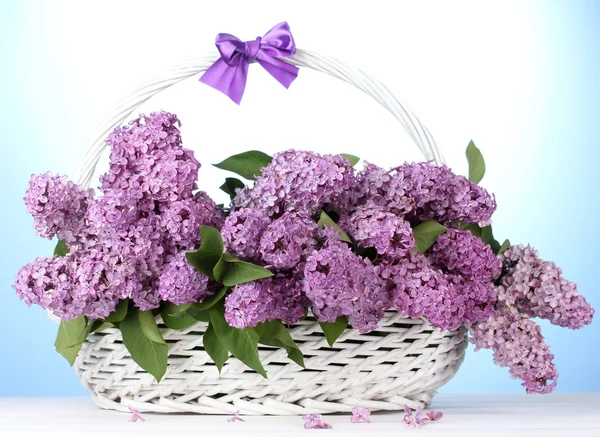 Beautiful lilac flowers in basket on blue background — Stock Photo, Image