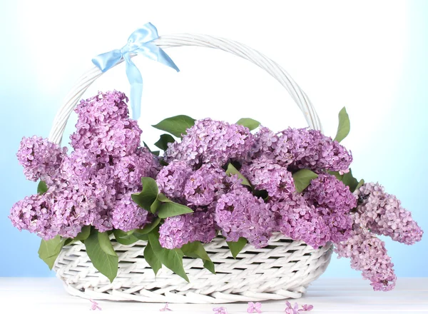 Hermosas flores lila en cesta sobre fondo azul — Foto de Stock