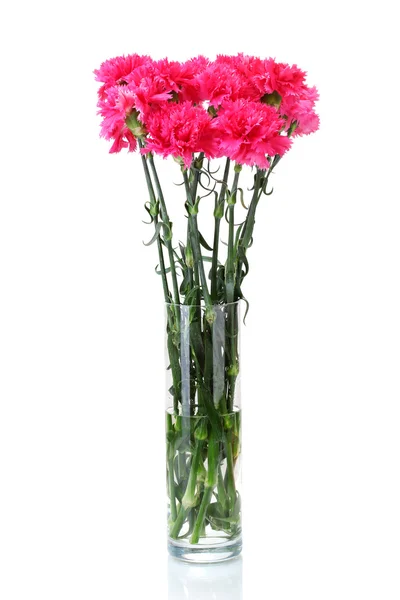 Όμορφο ροζ γαρίφαλα σε γυάλινο βάζο που απομονώνονται σε λευκό — Φωτογραφία Αρχείου