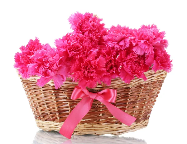 Krásné růžové karafiáty v košíku izolovaných na bílém — Stock fotografie