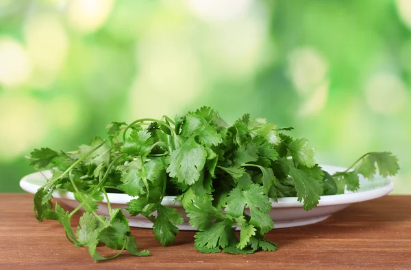 Coriander in a white plate on green background — Stock Photo, Image