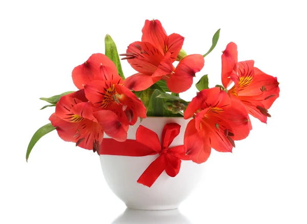 Αλστρομέριες κόκκινα λουλούδια στο βάζο που απομονώνονται σε λευκό — Φωτογραφία Αρχείου